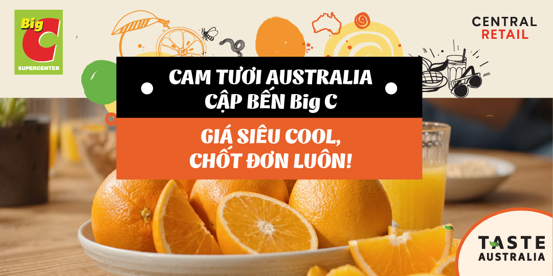 NẠP ĐỀ KHÁNG TỪ CAM TƯƠI AUSTRALIA: CHẤT LƯỢNG HẢO HẠNG, GIÁ RẺ BẤT NGỜ