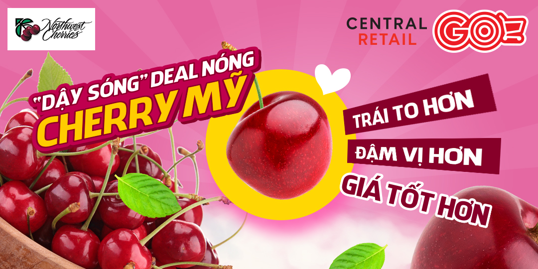 GIẢI MÃ HIỆN TƯỢNG CHERRY NORTHWEST SIÊU HOT TẠI GO! GẦN ĐÂY