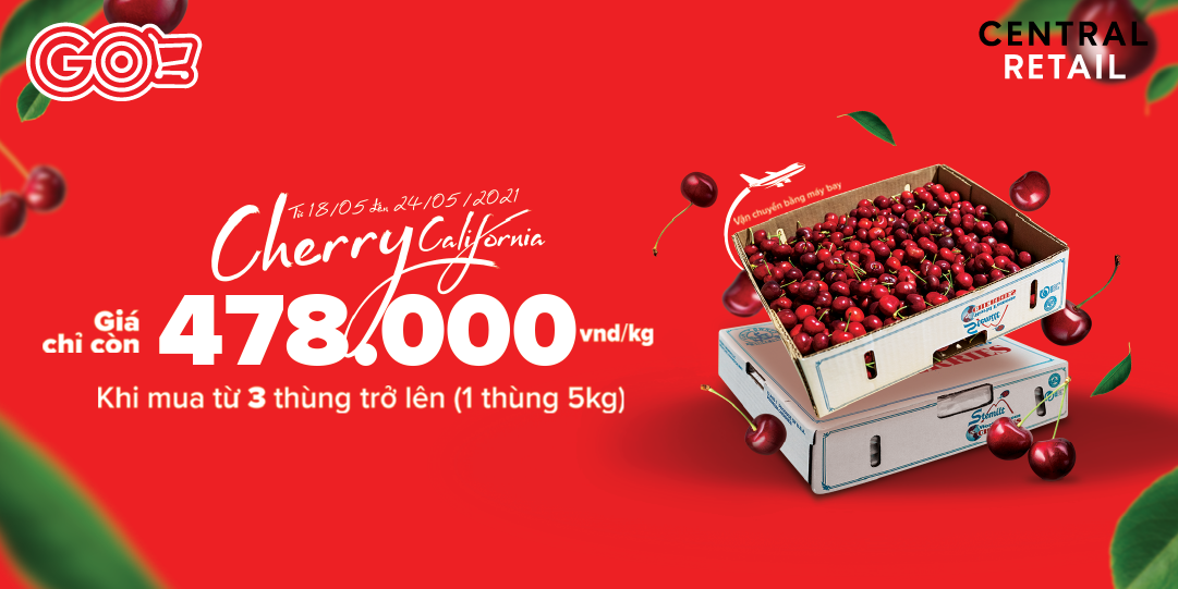 CHERRY HÁI TẠI VƯỜN, NHẬP KHẨU NGUYÊN KIỆN, NGUYÊN SEAL