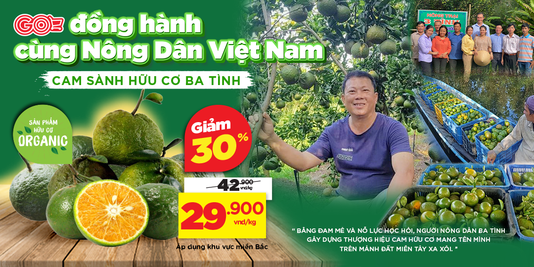 [MIỀN BẮC] CAM SÀNH BA TÌNH - HÀNH TRÌNH TỪ NÔNG TRẠI HỮU CƠ ĐẾN GIỎ HÀNG SIÊU THỊ