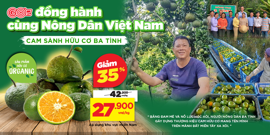 [MIỀN NAM] CAM SÀNH BA TÌNH - HÀNH TRÌNH TỪ NÔNG TRẠI HỮU CƠ ĐẾN GIỎ HÀNG SIÊU THỊ