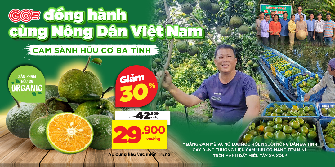 [MIỀN TRUNG] CAM SÀNH BA TÌNH  - HÀNH TRÌNH TỪ NÔNG TRẠI HỮU CƠ ĐẾN GIỎ HÀNG SIÊU THỊ