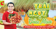 Big C Mách nhỏ