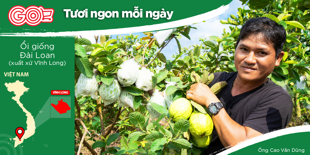 CAO VAN DUNG - SUCCESSFUL FARMER GROWING PAPAYAS WITH GO! & BIG C SUPERMARKET