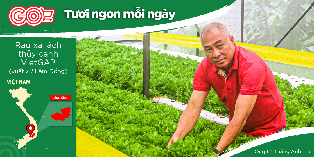 CÂU CHUYỆN ĐẦY CẢM HỨNG VỀ CÔNG TY TNHH ĐÀ LẠT GREEN, MỘT HÀNH TRÌNH MÀU XANH TƯƠI MỚI ĐƯỢC KHỞI ĐẦU TỪ NĂM 2016.