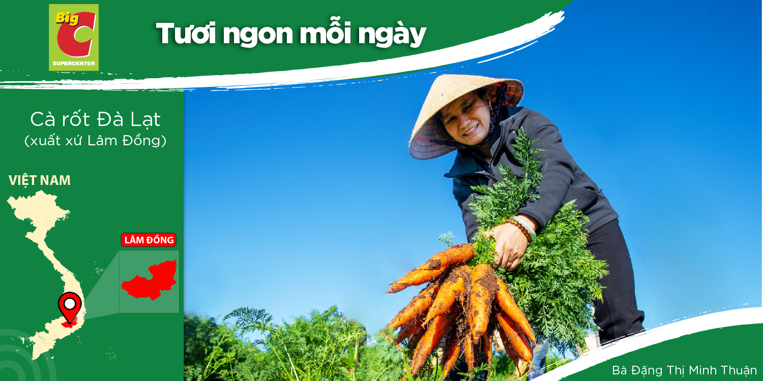 DANG THI MINH THUAN - A FARMER GROWING WHITE RADISH AND CARROTS IN DUC TRONG