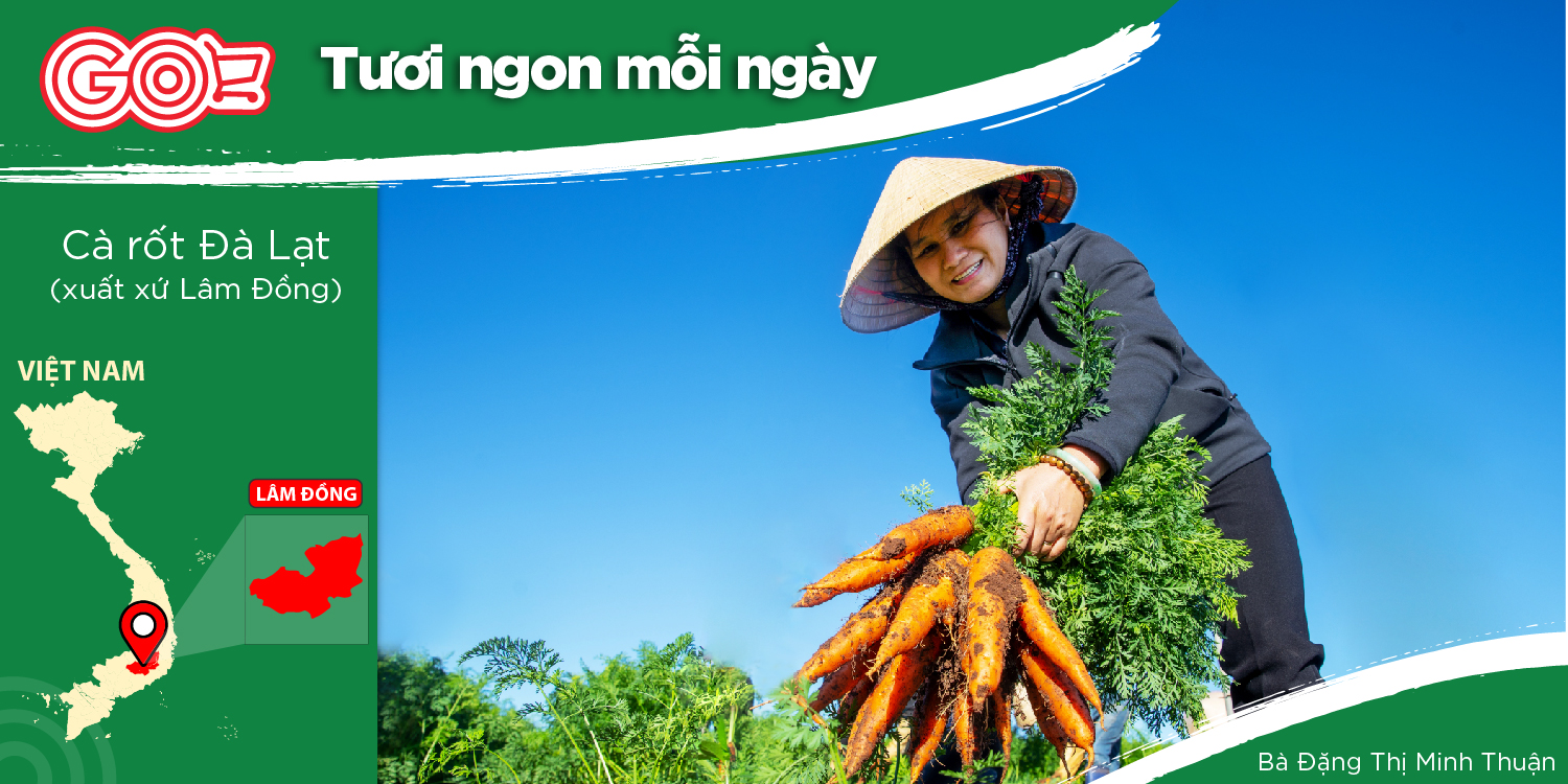 DANG THI MINH THUAN - A FARMER GROWING WHITE RADISH AND CARROTS IN DUC TRONG