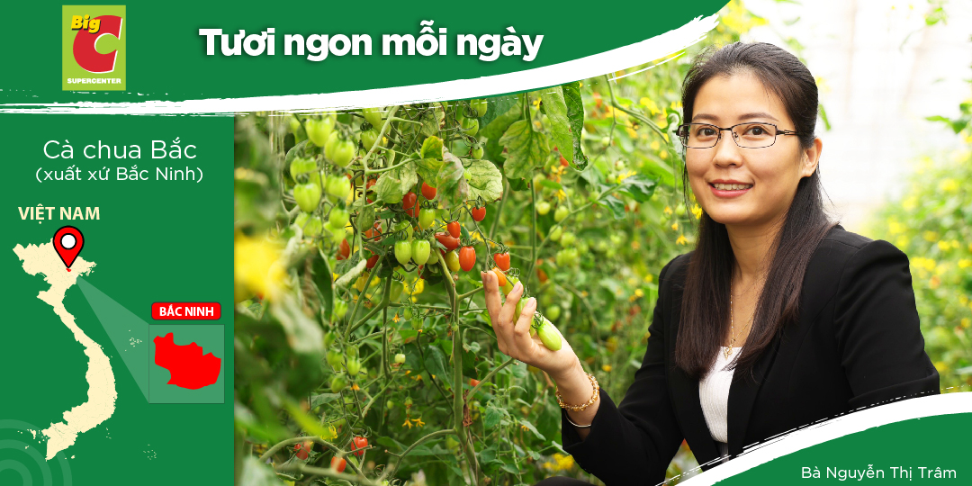 HAI PHONG - A YOUNG AND ENTHUSIASTIC AGRICULTURAL UNIT