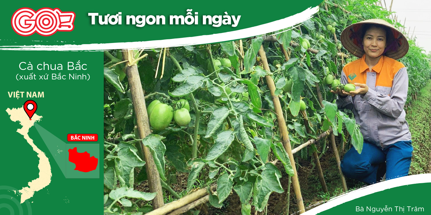 HAI PHONG - A YOUNG AND ENTHUSIASTIC AGRICULTURAL UNIT
