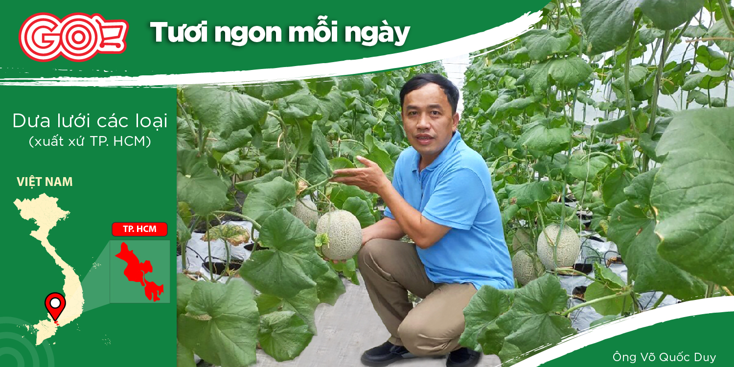 CÔNG TY HƯNG LONG FARM - HƯỚNG TỚI NÔNG SẢN CHẤT LƯỢNG VÀ TIÊU CHUẨN NHÂN VĂN