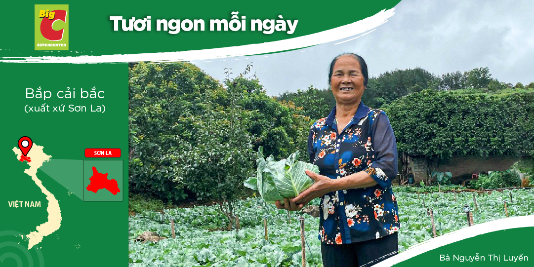 HỢP TÁC XÃ TỰ NHIÊN - PHÁT TRIỂN TRỒNG RAU, HOA VÀ CÂY ĂN QUẢ AN TOÀN TẠI MỘC CHÂU