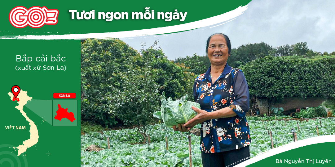 TỰ NHIÊN COOPERATIVE - DEVELOPING SAFE VEGETABLES, FLOWERS, AND FRUIT TREES IN MOC CHAU