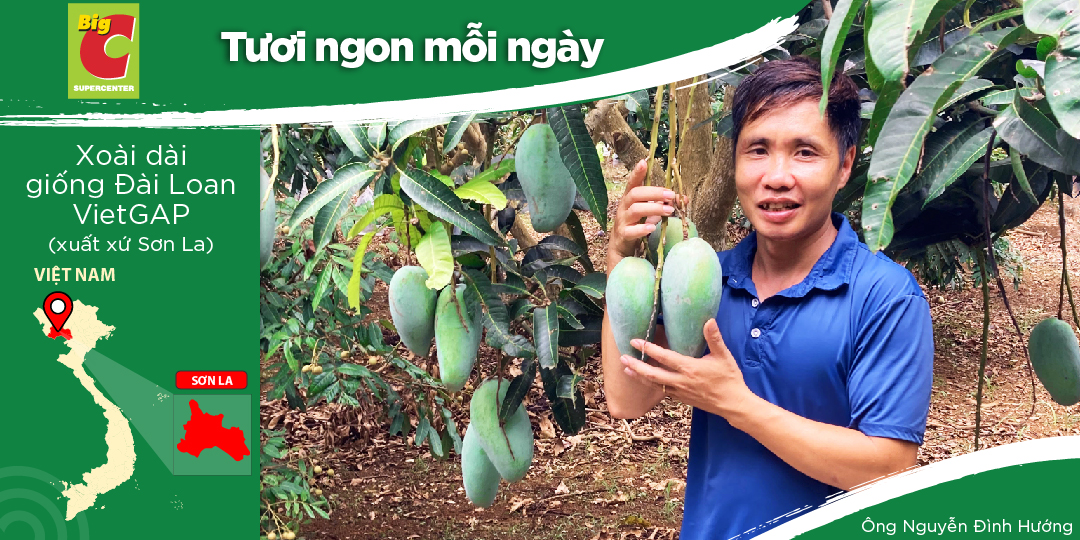 HUNG THINH COOPERATIVE - AGRICULTURAL COOPERATION EMBRACING DEVELOPMENT OPPORTUNITIES FROM GO! & BIG C