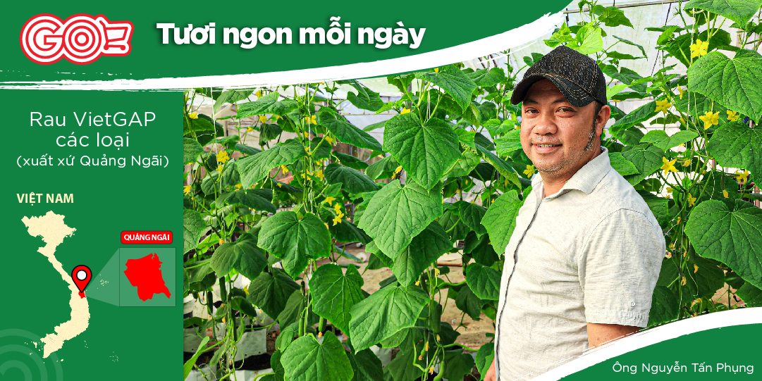 MẦM VIỆT - A FARM OF HEALTHY, CLEAN FRUITS AND VEGETABLES SERVING DAILY MEALS FOR VIETNAMESE FAMILIES