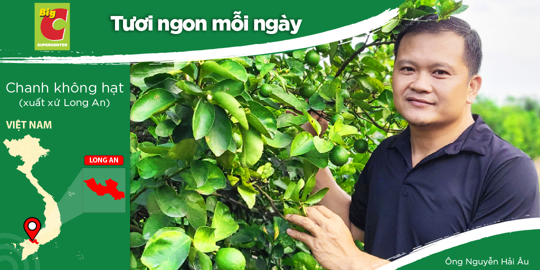 NGUYEN HAI AU - TRUSTED SEEDLESS LIME PRODUCER IN LONG AN