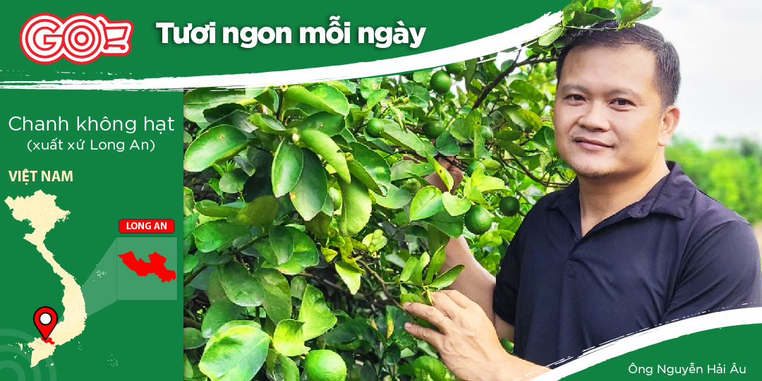 NGUYEN HAI AU - TRUSTED SEEDLESS LIME PRODUCER IN LONG AN