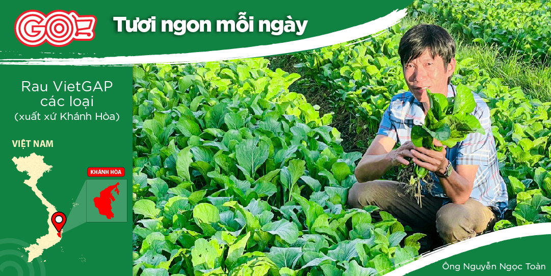 NGUYEN NGOC TOAN - VIETGAP VEGETABLE FARMER IN NINH DONG, NINH HOA, KHANH HOA