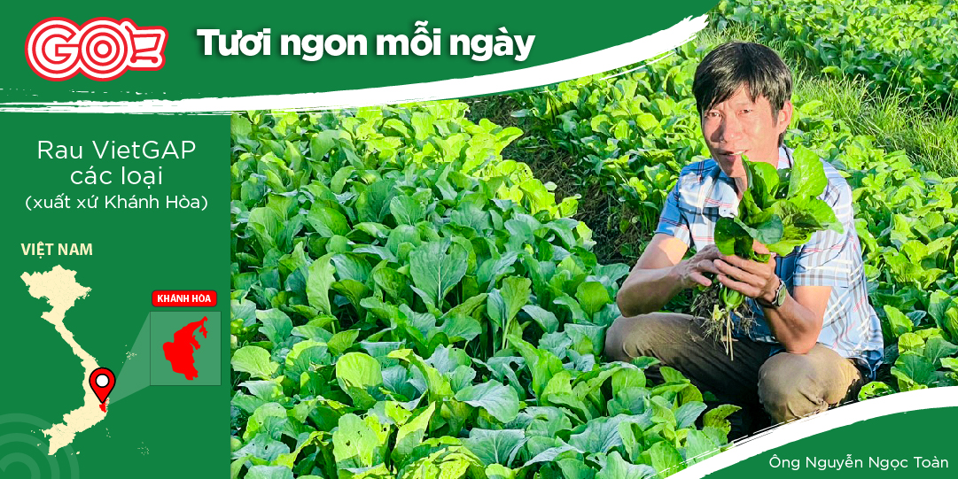 NGUYỄN NGỌC TOÀN - NÔNG DÂN TRỒNG RAU VIETGAP TẠI NINH ĐÔNG, NINH HÒA, KHÁNH HÒA