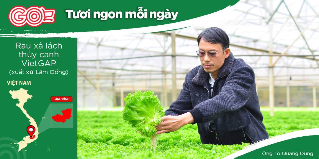 EXPERIENCE FANTASTIC AGRICULTURE WITH MR. TRUONG PHUC - A DEDICATED FARMER WITH MODERN HYDROPONIC TECHNIQUES.