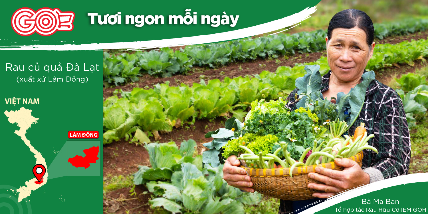 IEM GOH ORGANIC VEGETABLE FARME LAM DONG PROVINECE