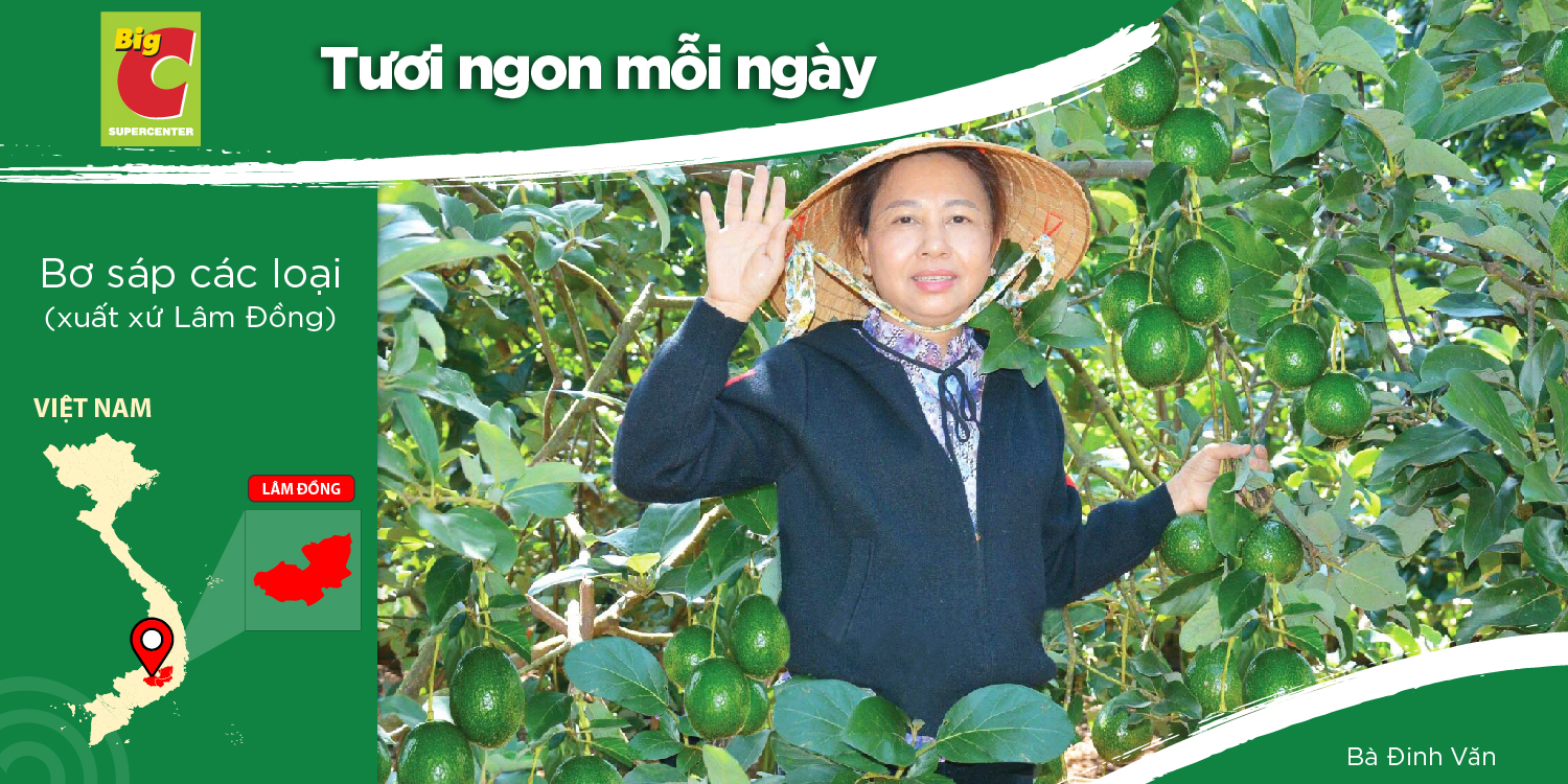 VAN PHUONG AGRICULTURAL COMPANY LIMITED - A JOURNEY ORIGINATING FROM PASSION AND DETERMINATION.