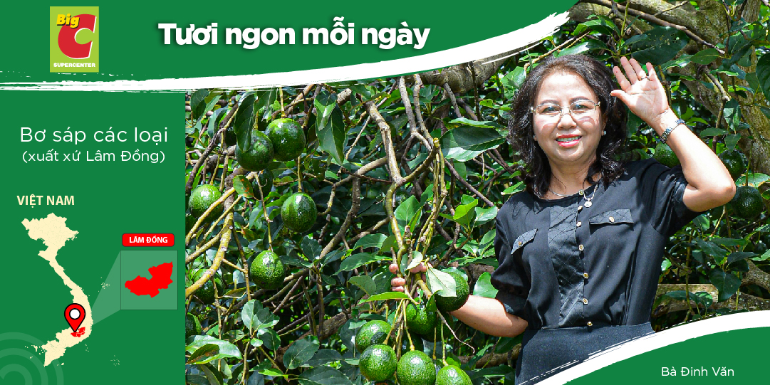 VAN PHUONG AGRICULTURAL COMPANY LIMITED - A JOURNEY ORIGINATING FROM PASSION AND DETERMINATION.