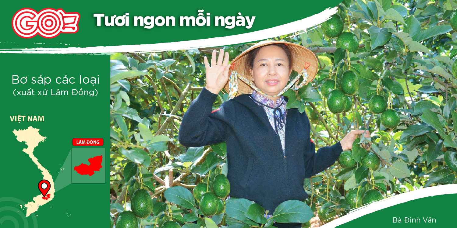 VAN PHUONG AGRICULTURAL COMPANY LIMITED - A JOURNEY ORIGINATING FROM PASSION AND DETERMINATION.