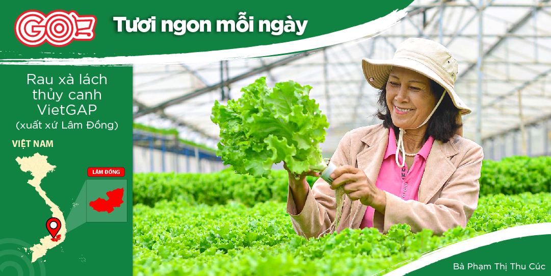 MS. PHAM THI THU CUC HAS FOUND HER WAY TO VEGETABLE FARMING AS A DESTINED ENCOUNTER