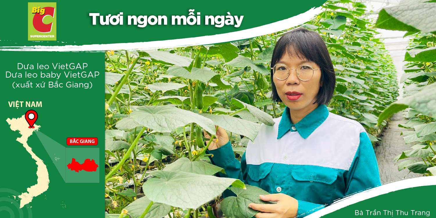 YEN DUNG CLEAN VEGETABLE COOPERATIVE - PRIORITIZING TECHNOLOGY AND VIETGAP STANDARDS