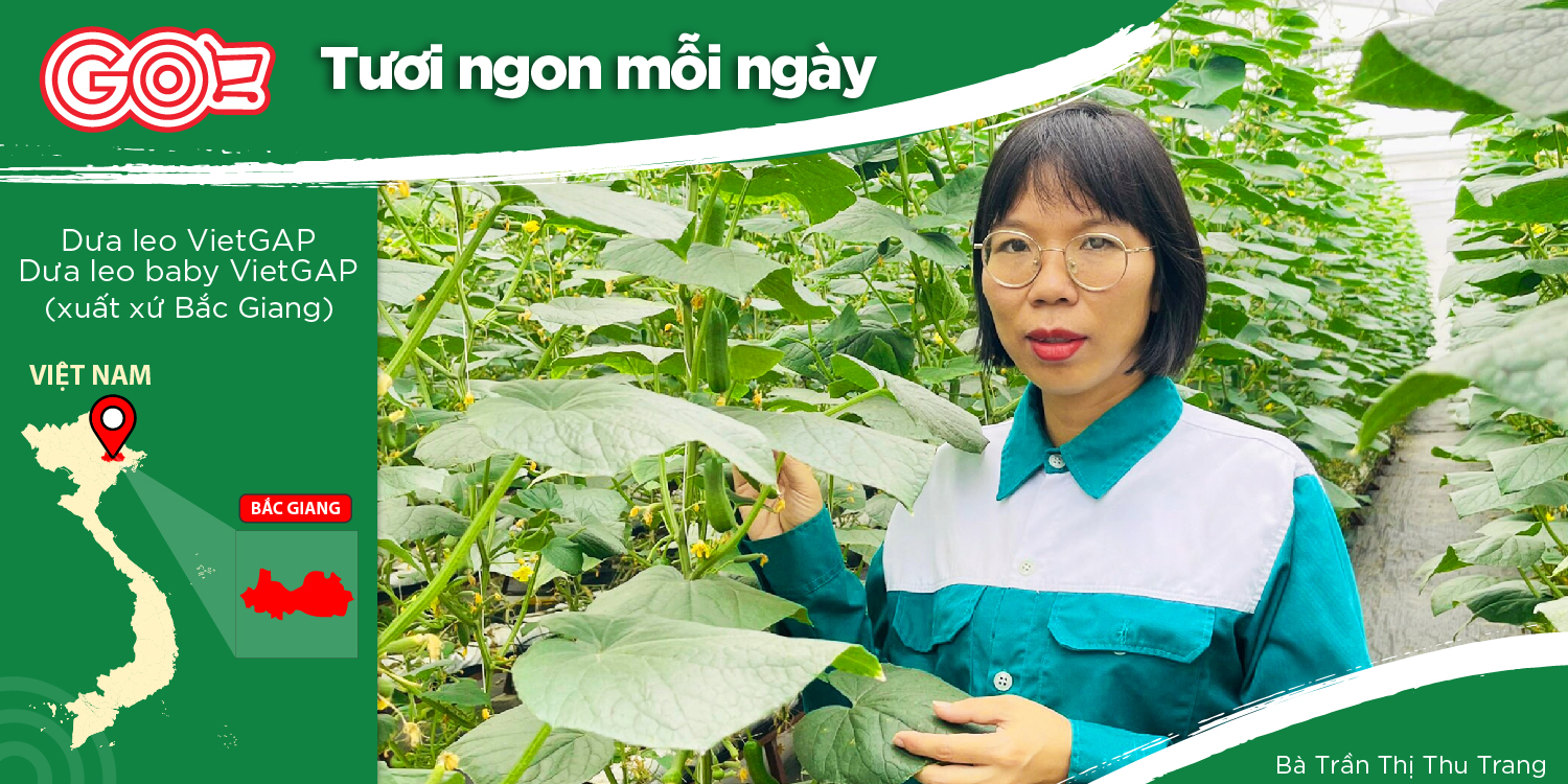  YEN DUNG CLEAN VEGETABLE COOPERATIVE - PRIORITIZING TECHNOLOGY AND VIETGAP STANDARDS