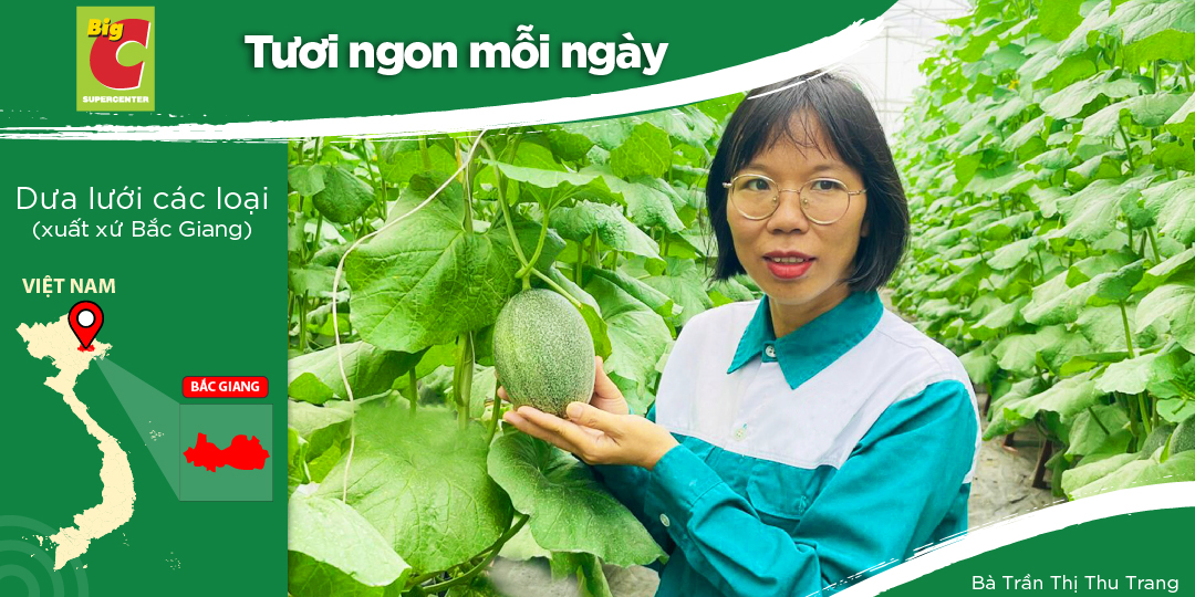 HỢP TÁC XÃ RAU SẠCH YÊN DŨNG - ƯU TIÊN CÔNG NGHỆ VÀ TIÊU CHUẨN VIETGAP