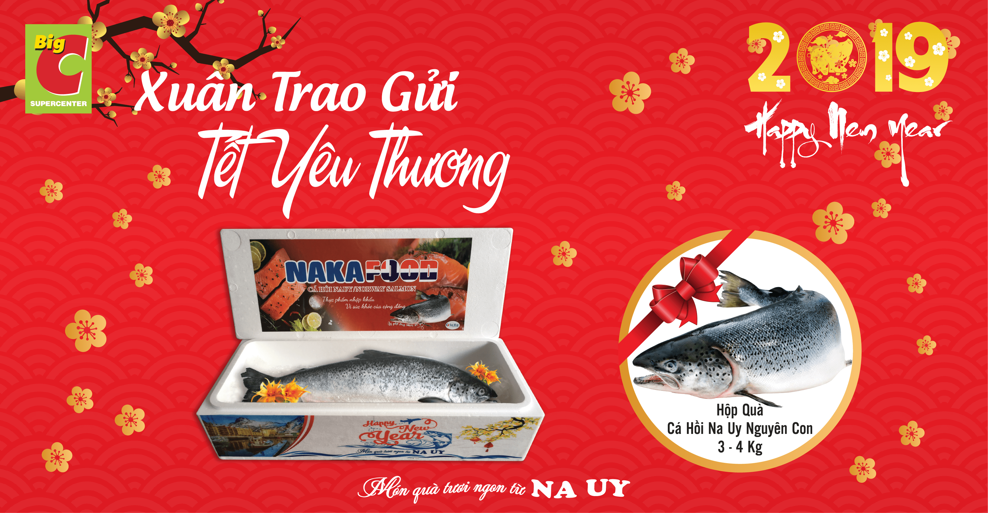 Norwegian Salmon – The nutritious Tet gift 