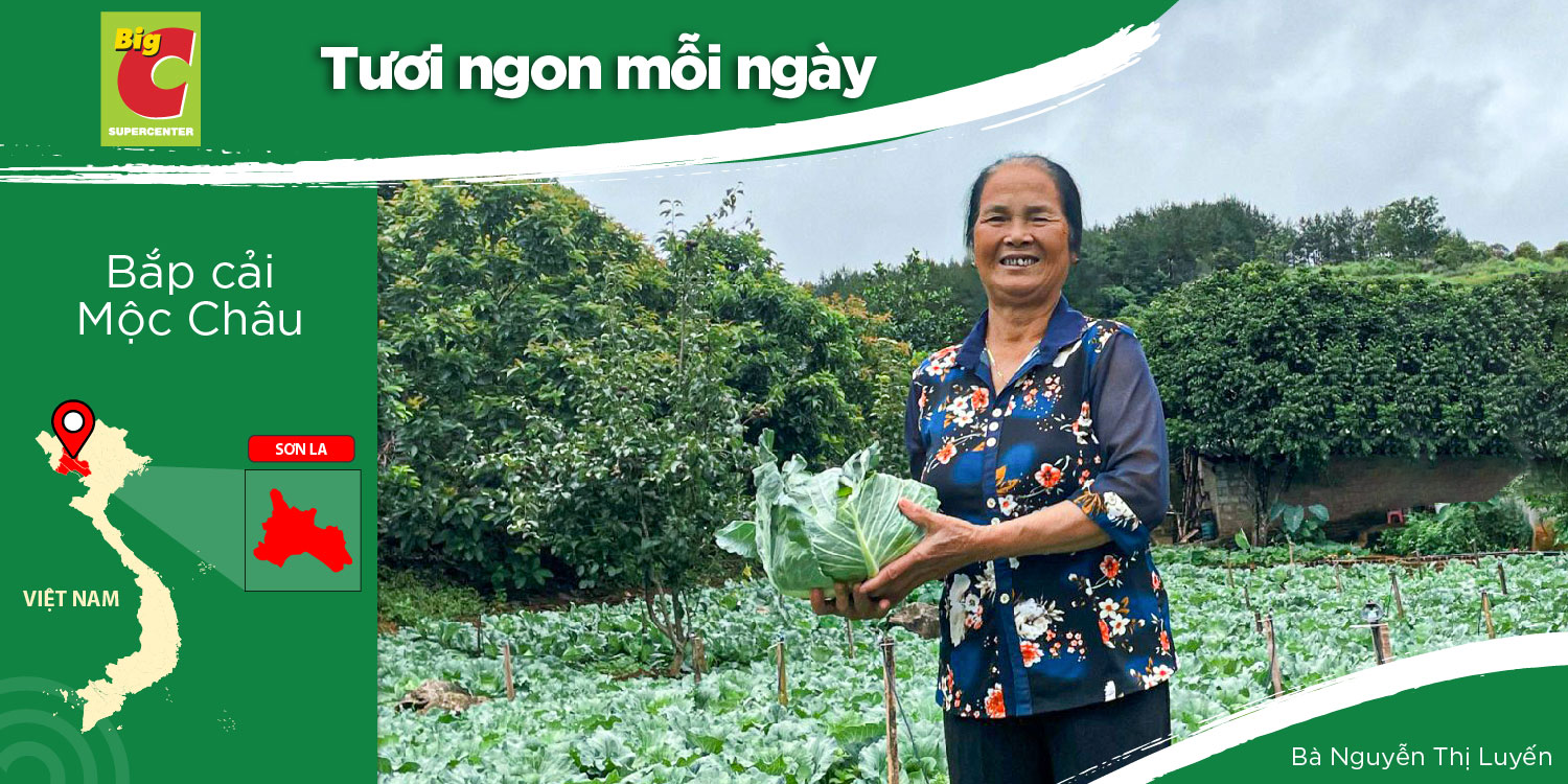 TỰ NHIÊN COOPERATIVE - DEVELOPING SAFE VEGETABLES, FLOWERS, AND FRUIT TREES IN MOC CHAU
