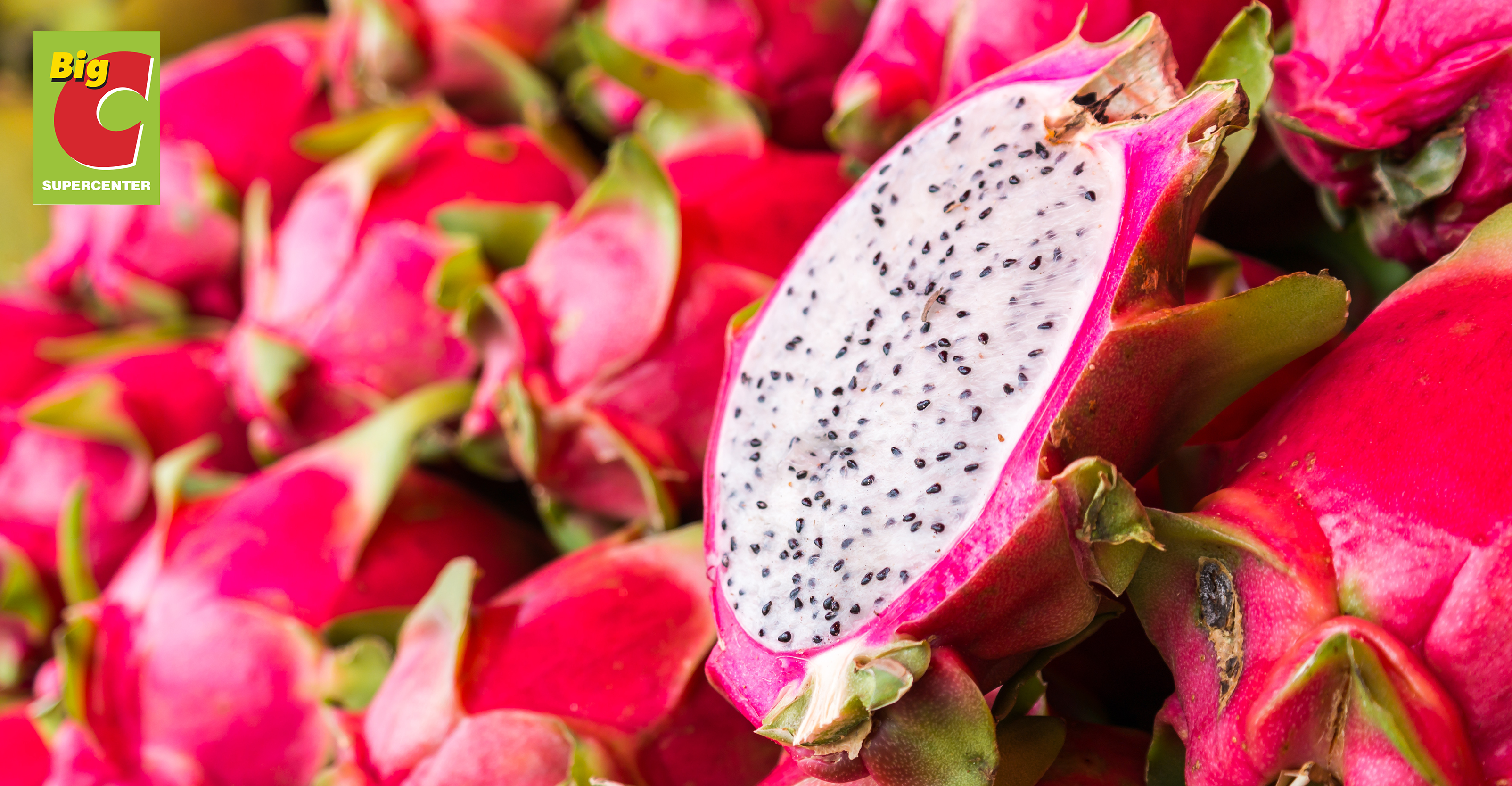 Big C & GO! to assist local farmers in marketing and selling 500 tons of Binh Thuan dragon fruits